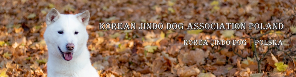 Korean Jindo Dog Association Poland