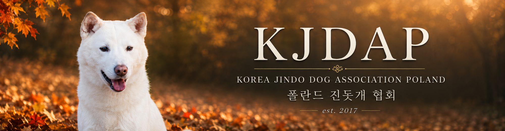 Korea Jindo Dog Association Poland