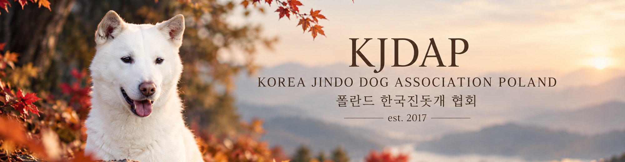 Korea Jindo Dog Association Poland